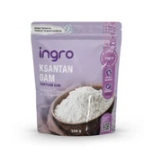 Glutensiz Ksantam Gam 250 G thumbnail 1