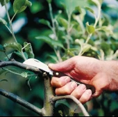 Fiskars K62 Aşı Bıçağı Kancalı 170mm thumbnail 4