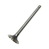 Briggs & Stratton Egzoz Supabı B&S 262246 thumbnail 1