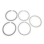Briggs & Stratton Segman Takımı Std-010 715017 thumbnail 1