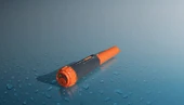 NOKTA POİNTER thumbnail 3