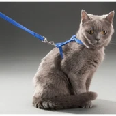 Kedi Boyun ve Göğüs Tasması thumbnail 1