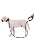 Reflektörlü Köpek Tasması 130 Cm. thumbnail 2