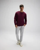 ELLESSE Armalı Erkek Sweatshirt AEM579 thumbnail 2