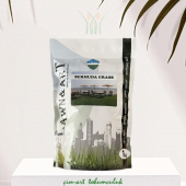 Uganda Çimi Bermuda grass 1 kg thumbnail 5