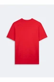 Ltb Ladasa Erkek T-shirt thumbnail 2