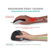 Dexim Type C Şarj Edilebilir Bluetooth Vertical RGB Mouse thumbnail 6