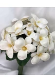 Florista Manolya Gelin Buketi 12li thumbnail 2