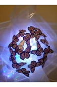neslinurbutik LED ışıklı kelebek buket thumbnail 2