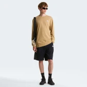 The North Face M EVOLUTION SIMPLE DOME REGULAR LONG SLE Erkek Tişört NF0A8EU3LK51 thumbnail 2