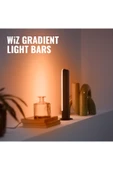 Wiz 2'li Gradient Işık Barı - Siyah (30 cm) thumbnail 8