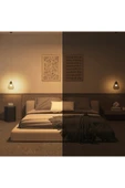 Philips Hue Essential 8W E27 806 Lumen Renkli Akıllı Ampul A60 thumbnail 6
