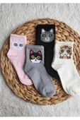 KEDİLİ 7-8 YAŞ 4 LÜ ÇOÇUK ÇORAP thumbnail 2