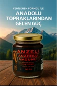 Anzeli Anadolu Ballı Karışık Bitkisel Macun 240 gr thumbnail 1