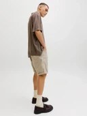 Jack Jones Trıck Dylan Orıgınal Regular Fit Erkek Şort 12288485 thumbnail 5