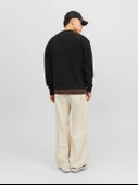 12241523  Jack & Jones  SWEAT thumbnail 2