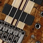 Cort A4 CUSTOM SPNATW Bas Gitar | 4 Telli Aktif - Spalted Maple thumbnail 2
