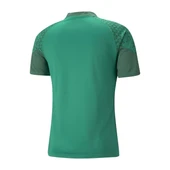 Puma 657984 Teamcup Training Jersey Yeşil thumbnail 2