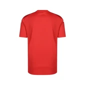 Puma 705017 Teamglory Jersey Kırmızı thumbnail 2