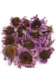 Baltea Baltea Ekinezya 50g thumbnail 3