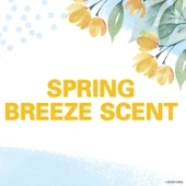 Secret PH Balanced Spring Breeze İnvisible Solid Deo 73GR thumbnail 2