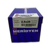 Meridyen Sunta Vidası 2.5x25 (1000 Adet) thumbnail 3