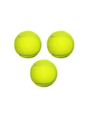 Köpek Oyun Topu Tenis Topu * thumbnail 1