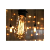 Lightson Led Ecomax Filament Ampul ST64 6W thumbnail 3