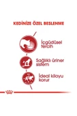 Royal Canin 6 Adet Instınctıve Jelly 85 Gr thumbnail 2