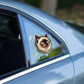 Vexor Fulcar Siamesse Araç Stickerı thumbnail 1