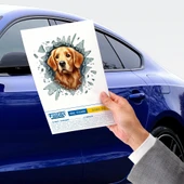 Vexor Fulcar Golden Araç Stickerı thumbnail 2