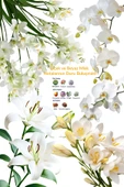 Avon Summer White EDT 50 Ml. Kadın Parfüm thumbnail 3