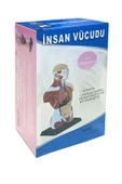 İNSAN VÜCUDU (Küçük Boy, 27 cm.) thumbnail 3