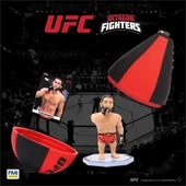 PMI/UFC2009 thumbnail 5