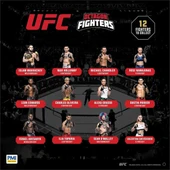 PMI/UFC2009 thumbnail 3