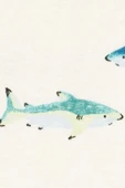 carters Erkek Bebek Alt Üst Set thumbnail 2