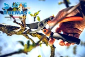 LÖWE 11.109 BUDAMA MAKASI thumbnail 4