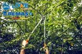 Löwe 21.080 Budama Makası thumbnail 6