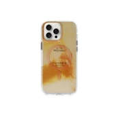 iPhone 16 Pro Phantom Magsafe Kapak - Gold thumbnail 1