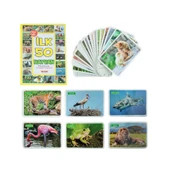 1352FlashCardsİlk50Hayvan-Dıytoy thumbnail 1