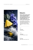 BABYLON 100 ML NICHE PARFÜM thumbnail 2