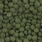 Sera Plankton Color Tabs Açık 100Ad thumbnail 2
