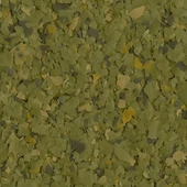 Tetra Phyll Flakes Açık 50gr thumbnail 1