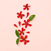 Gucci Bloom Edp 100 Ml Kadın Parfüm thumbnail 4