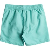 Billabong EBYJV00134 All Day Lb Erkek Şort Mayo thumbnail 3