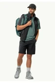 Jack Wolfskin Actıve Track Erkek Gri Outdoor Şort thumbnail 2