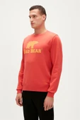 Bad Bear Logo Crewneck Erkek Sweatshirt thumbnail 4