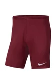 Nike Dri-FIT Park III Erkek Şort thumbnail 1