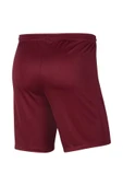 Nike Dri-FIT Park III Erkek Şort thumbnail 2
