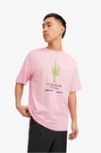 JACK&JONES Jorgrocery Tee Ss Crew Neck thumbnail 1